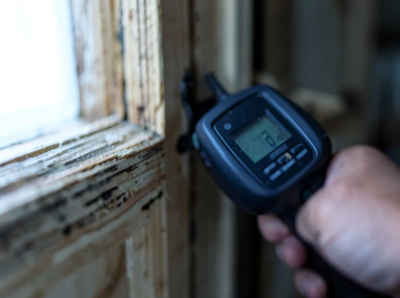 Commercial Water Damage Restoration in Milliken, CO